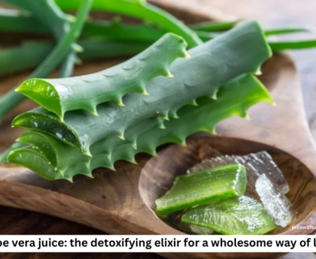 aloe vera juice: the detoxifying elixir for a wholesome way of life